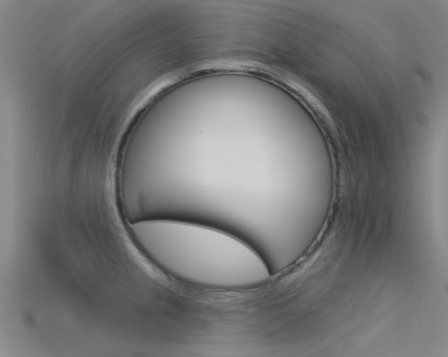 X0000115831237200911131121