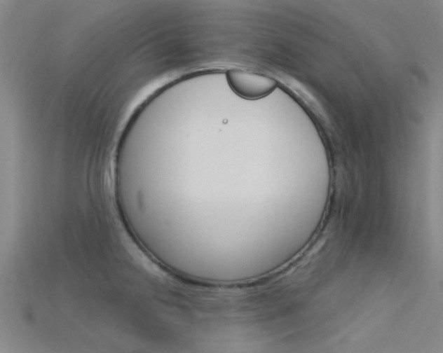 X0000115831238200911131121