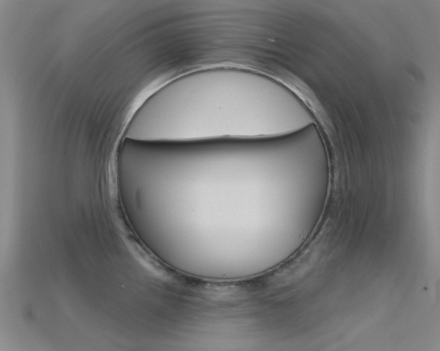 X0000115831242200911131121