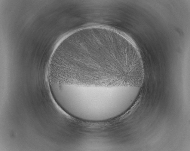 X0000115831247200911131121