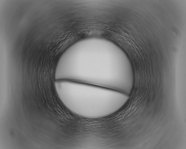 X0000115831250200911131120