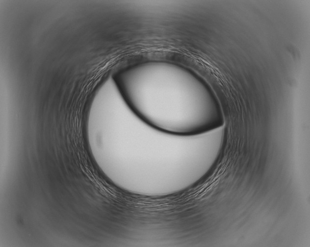 X0000115831252200911131120