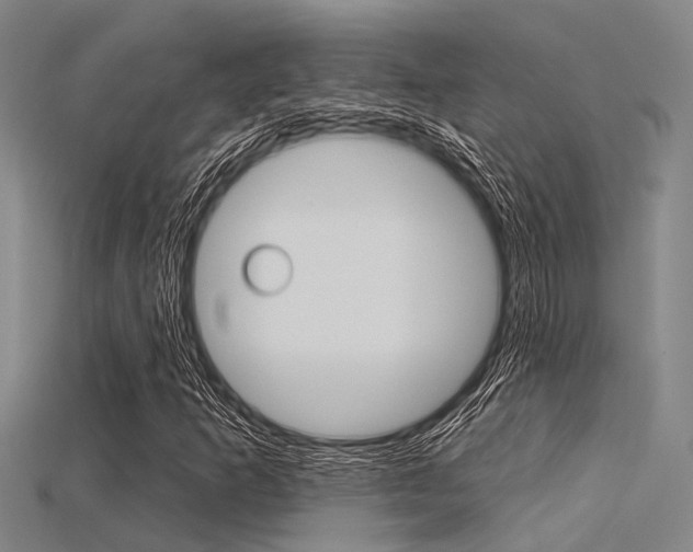 X0000115831253200911131120
