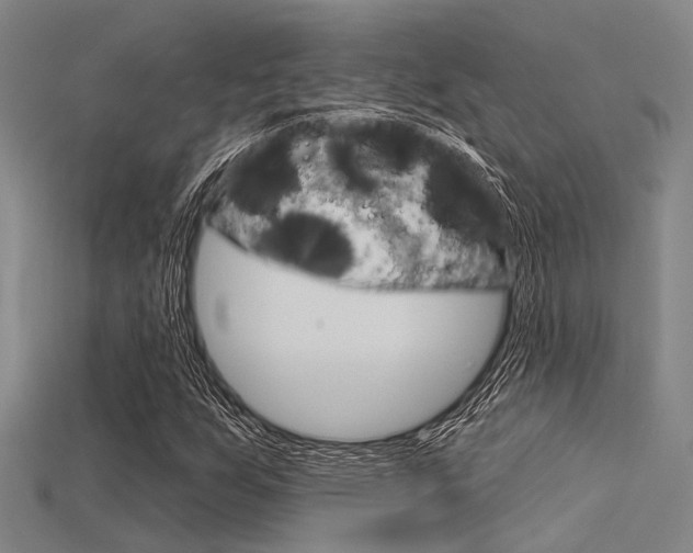 X0000115831255200911131120
