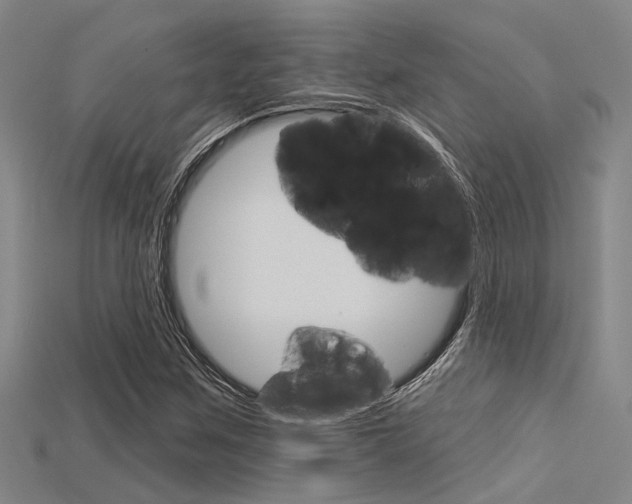 X0000115831259200911131120