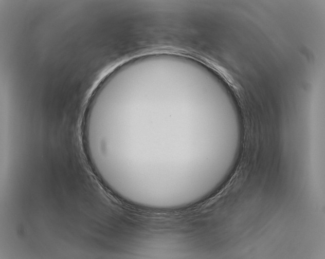 X0000115831264200911131120