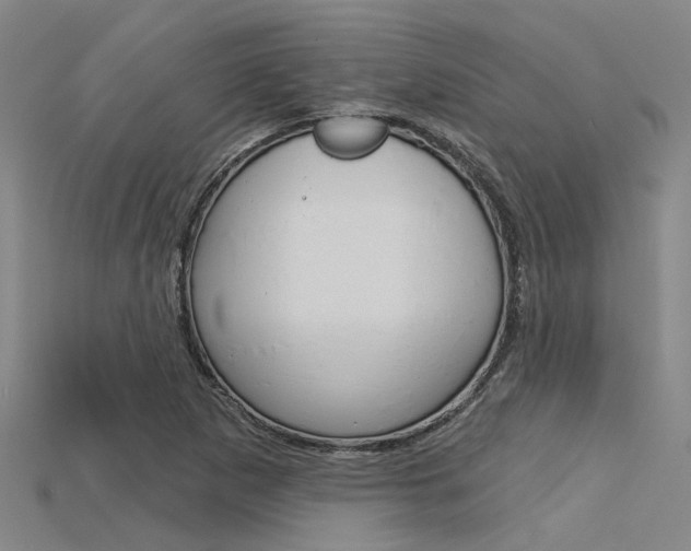 X0000115831265200911131120