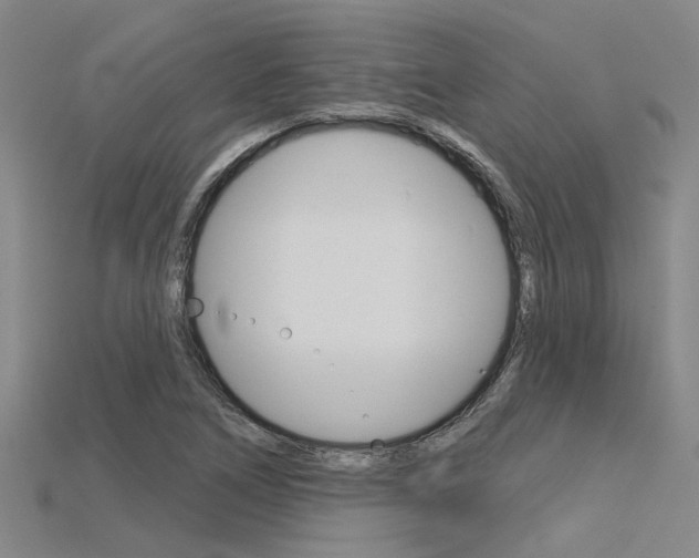 X0000115831266200911131120