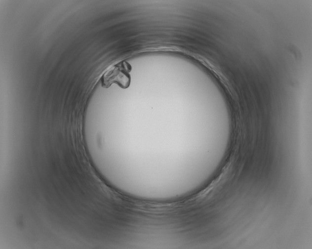 X0000115831273200911131120