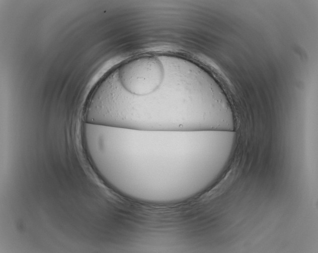 X0000115831274200911131120