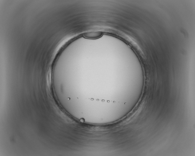 X0000115831275200911131120