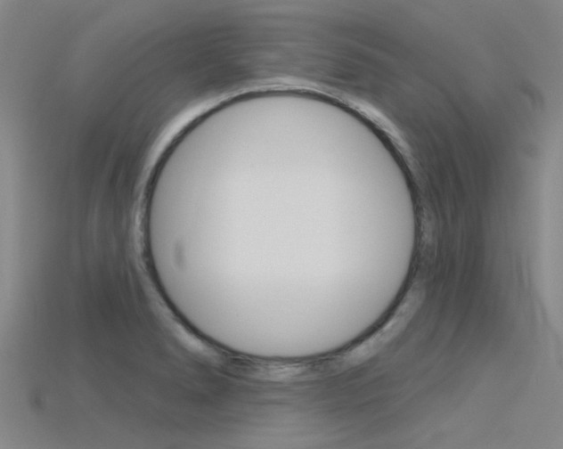 X0000115831278200911131120