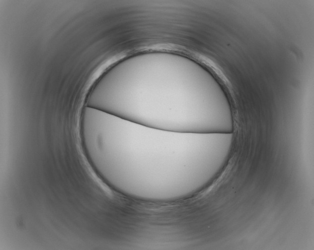 X0000115831282200911131119