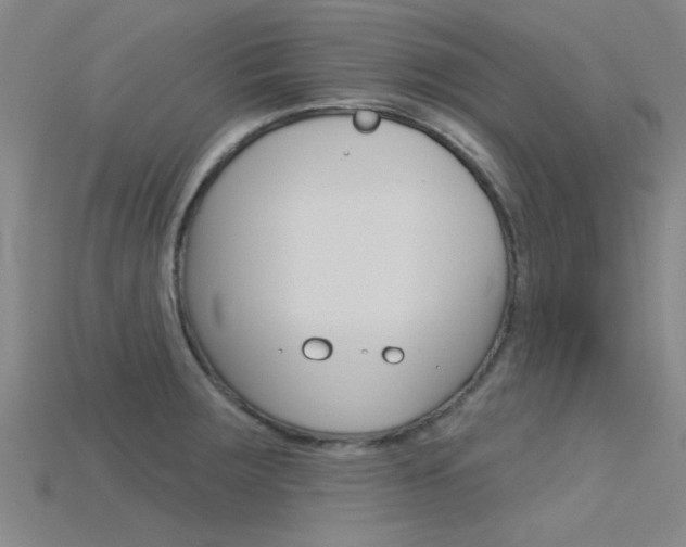 X0000115831283200911131119