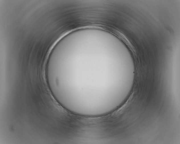 X0000115831284200911131119