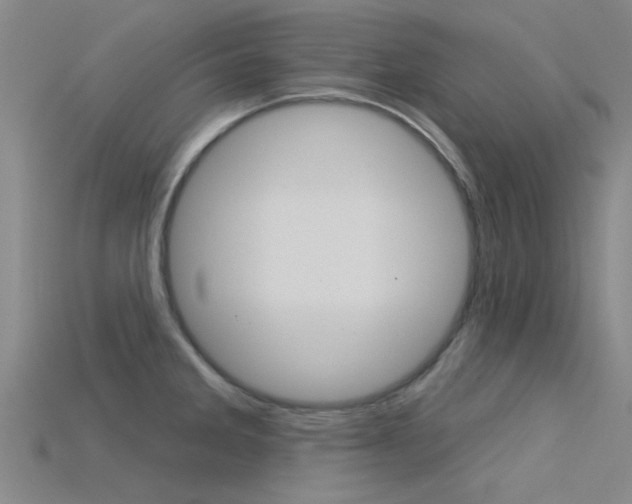 X0000115831285200911131119