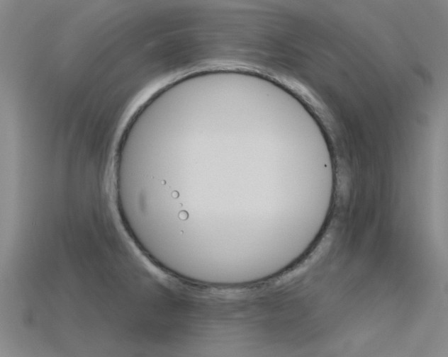 X0000115831286200911131119