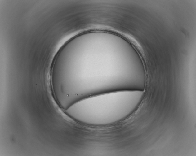 X0000115831287200911131119