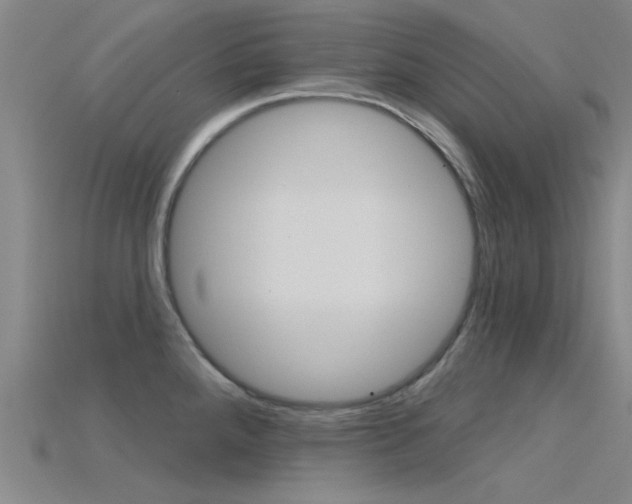 X0000115831288200911131119