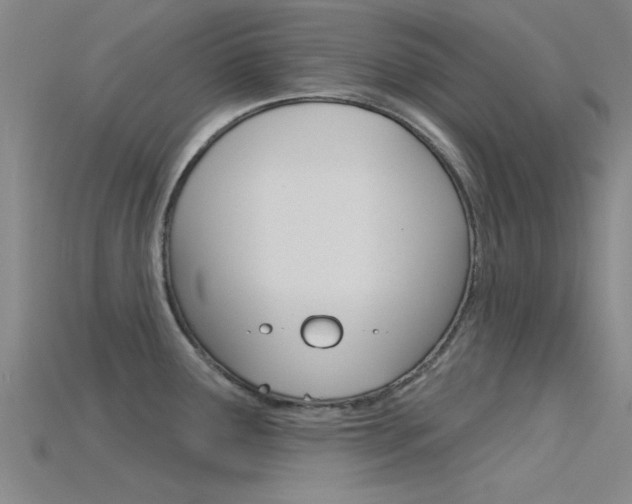 X0000115831291200911131119