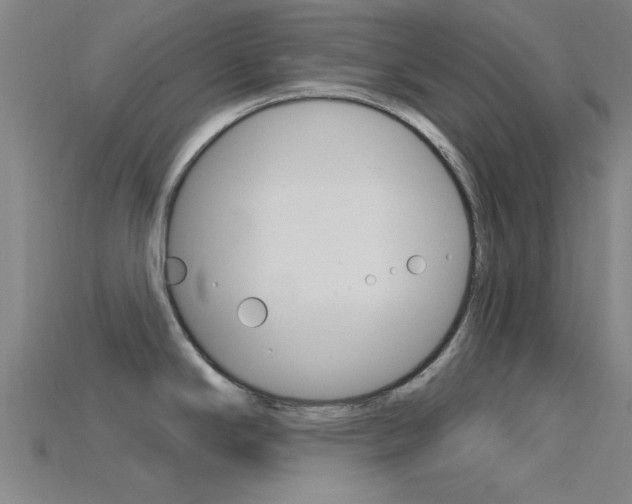 X0000115831294200911131119