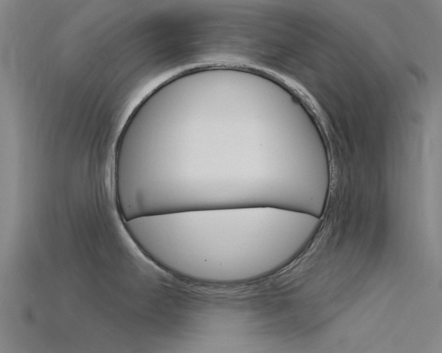 X0000115831295200911131119