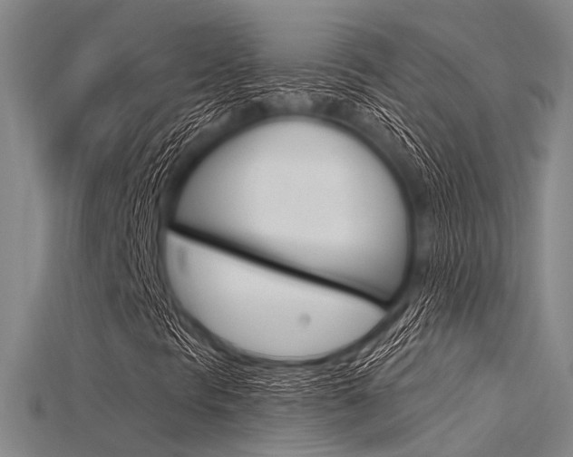 X0000115831297200911131119