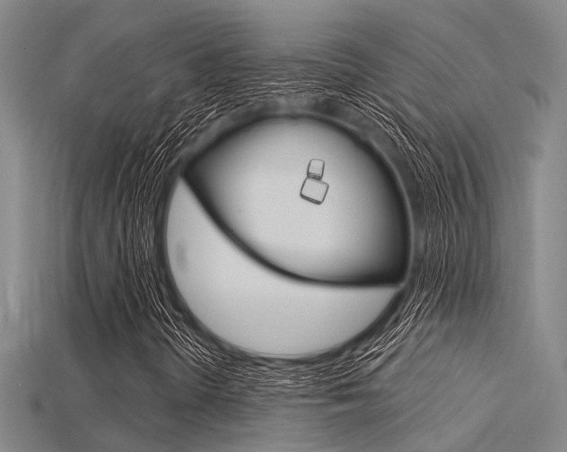 X0000115831298200911131119