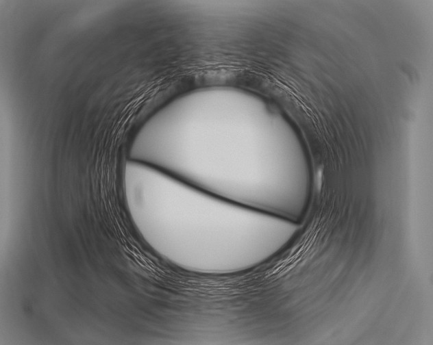 X0000115831299200911131119