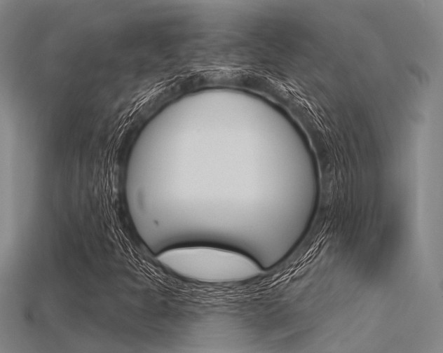 X0000115831301200911131119