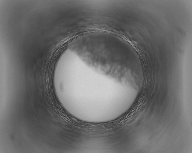 X0000115831303200911131119