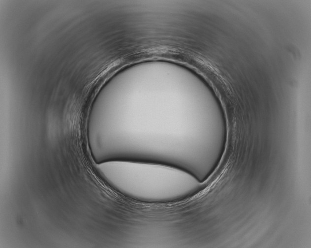 X0000115831305200911131119