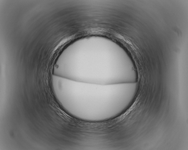 X0000115831306200911131119