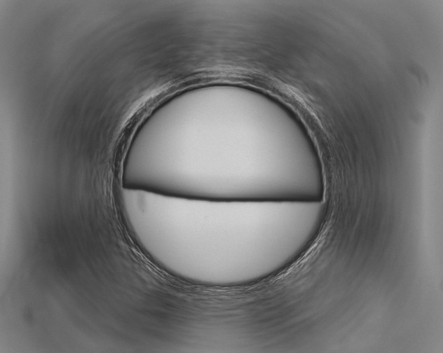 X0000115831307200911131119