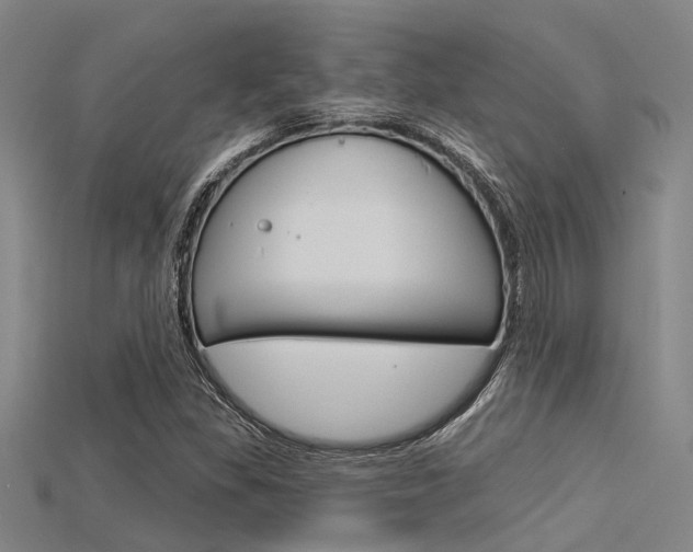 X0000115831309200911131119