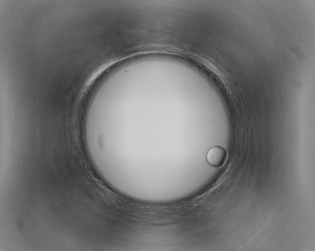 X0000115831310200911131119
