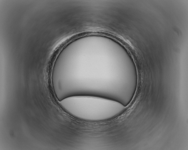 X0000115831311200911131119