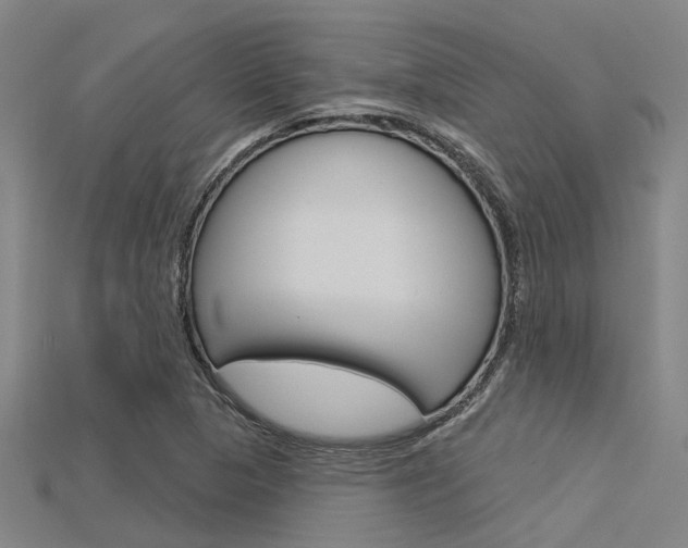X0000115831313200911131119