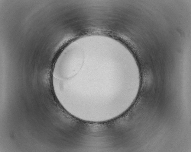 X0000115831314200911131119