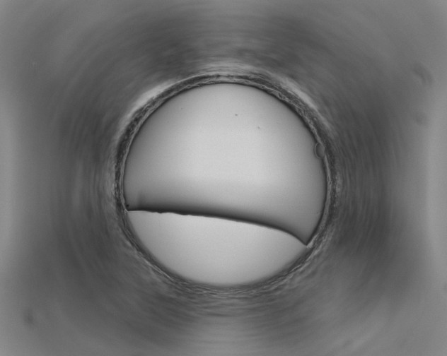 X0000115831315200911131119