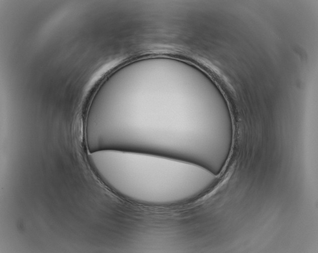 X0000115831317200911131119