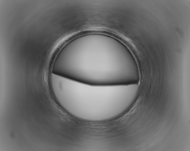 X0000115831319200911131119