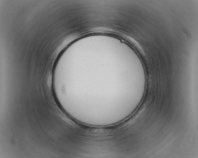 X0000115831322200911131119