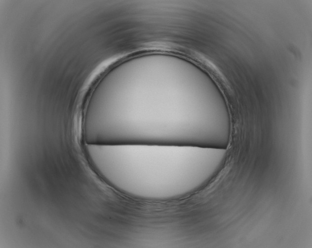 X0000115831323200911131119