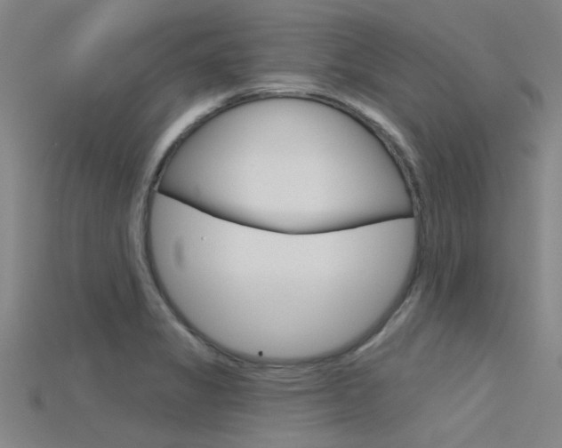 X0000115831325200911131119