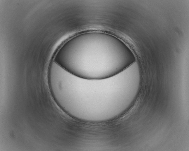 X0000115831326200911131119