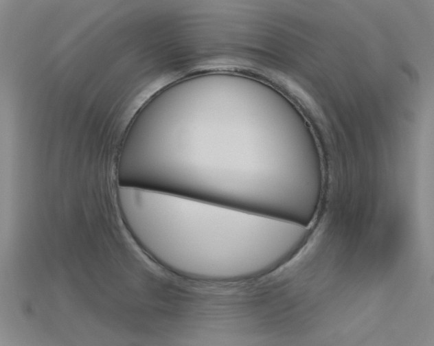 X0000115831329200911131119