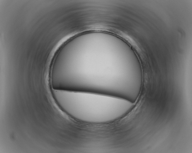 X0000115831331200911131119