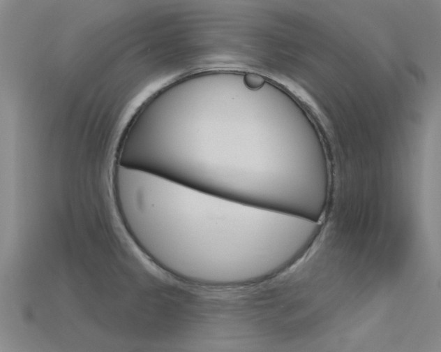 X0000115831333200911131119