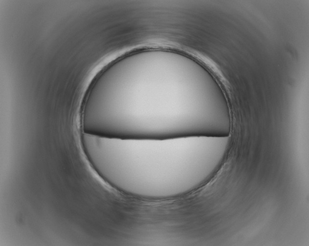 X0000115831335200911131119